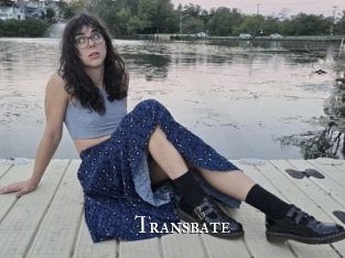 transbate cams