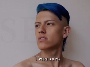 twinkguyy cams
