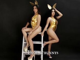 Twohotbunnys