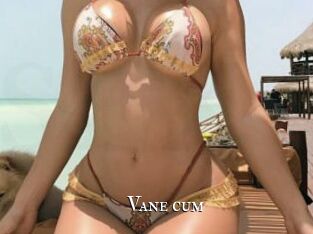Vane_cum