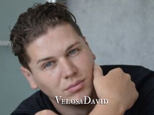 VelosaDavid