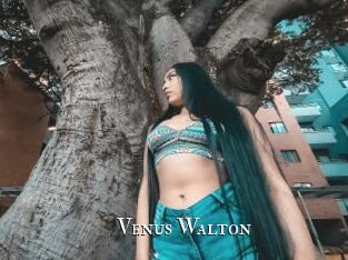 Venus_Walton