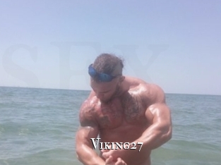 Viking27 cams