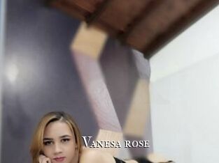 Vanesa_rose