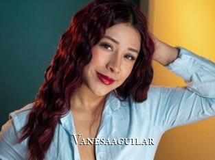 Vanesaaguilar