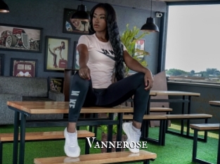 vannerose cams
