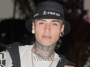 Vectorx073