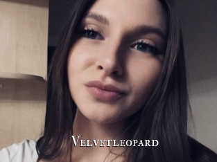 Velvetleopard