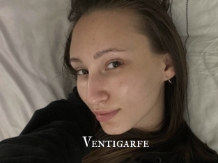 ventigarfe cams