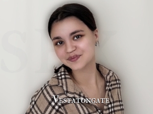 Vestatongate