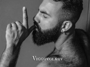 viggovolkov cams