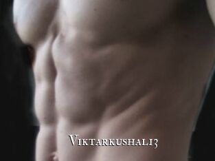 Viktarkushal13