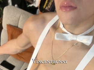 Vincentbunny