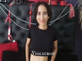 violecrow cams