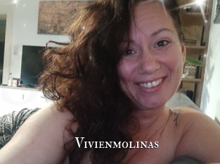 Vivienmolinas