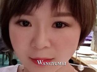 Wangyumei cams