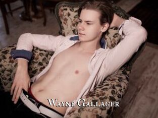 Wayne_Gallager