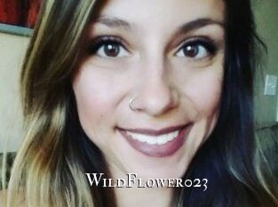 WildFlower023