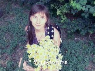 Wildcumster