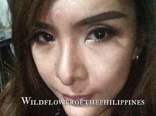 Wildflowerofthephilippines