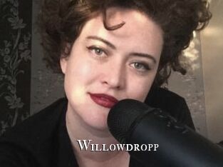 Willowdropp