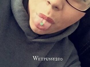 Wetpussy210
