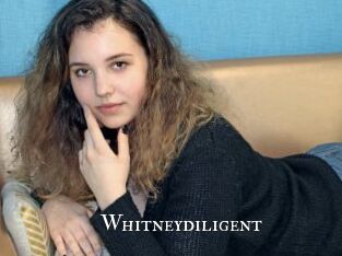 Whitneydiligent
