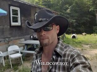 Wildcowboy