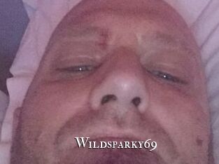 Wildsparky69