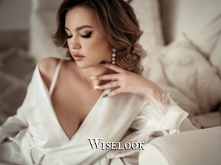 wiselook cams