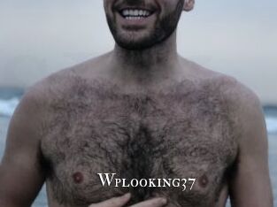 Wplooking37