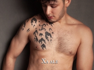 xa_ale cams