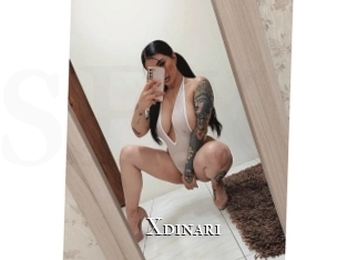 Xdinari