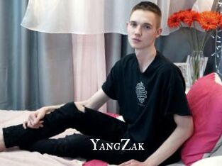 YangZak