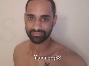 Yigolo0388