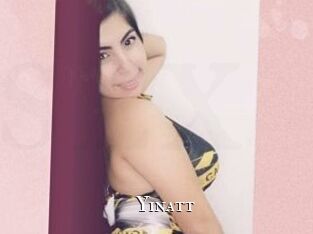 Yinatt cams