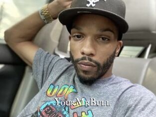 YourMrBull