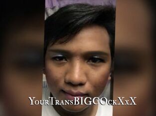 YourTransBIGCOckXxX
