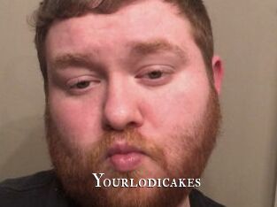 Yourlodicakes