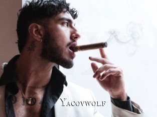 yacovwolf cams