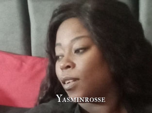 Yasminrosse