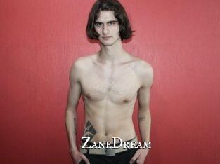 ZaneDream