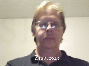 Ziggy2020