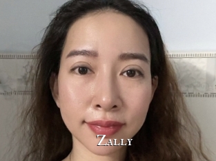 zally cams