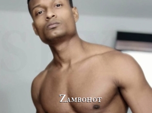 zambohot cams