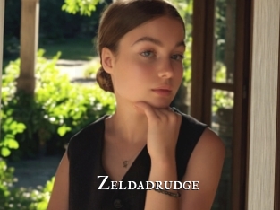 Zeldadrudge