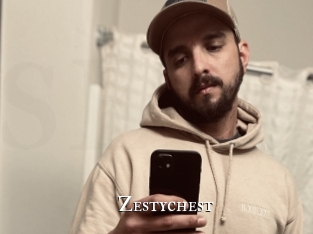Zestychest